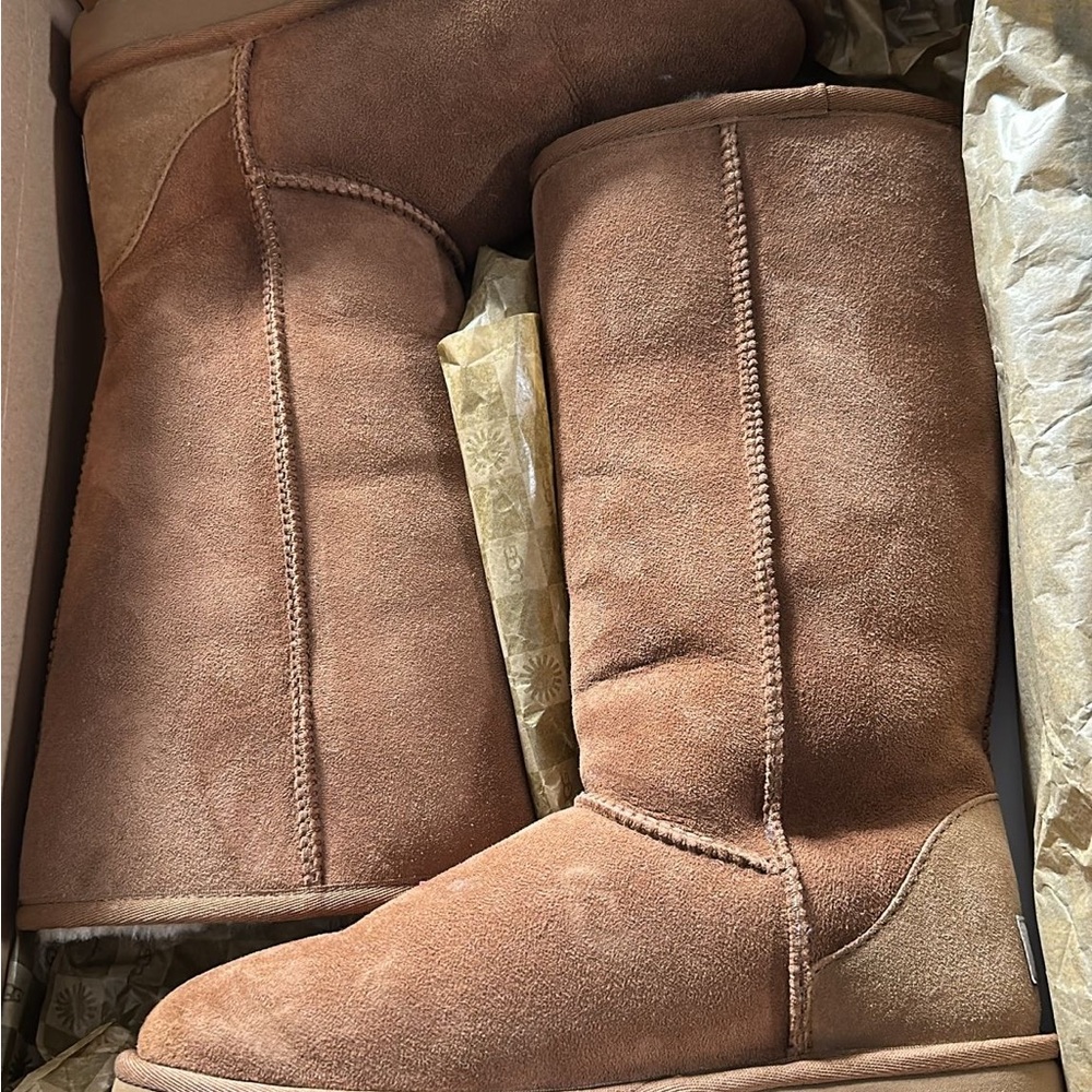 Classic Brown Suede Boots